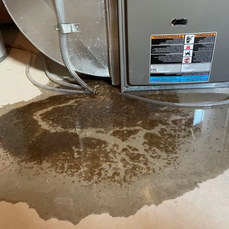 Pipe Burst and Leak Restoration in Sayre, PA